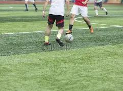 热刺迎战纽,卡斯尔,新英格兰主,UED,ued,UED体育官网,UED官网,UED体育下载