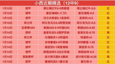 泰山退出亚冠引发球迷热议：勿损球队声誉
