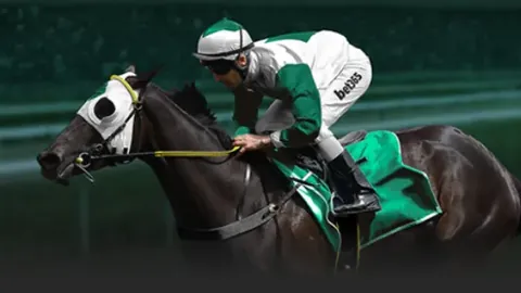 德赫亚：休赛期，我人生中最闪耀的时刻